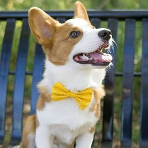 Meet your Posher, Jaz